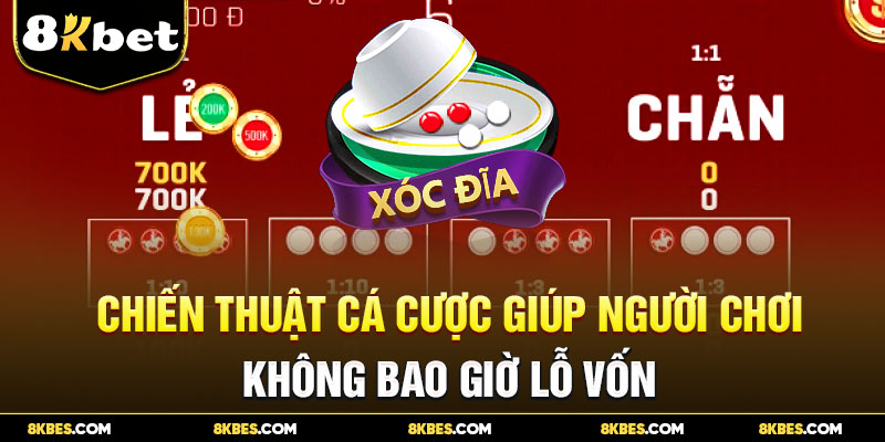 Chiến thuật chơi xóc dĩa luôn thắng tại 8kbet