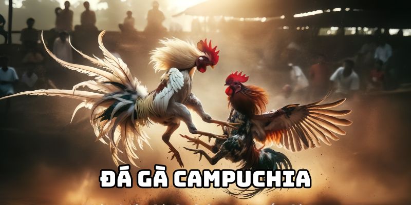 Sơ lược đá gà Campuchia 